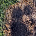 provincial-fire-ban-issued-for-large-part-of-northern-sask.