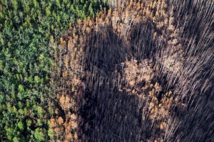 provincial-fire-ban-issued-for-large-part-of-northern-sask.