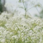 your-allergies-are-about-to-get-worse