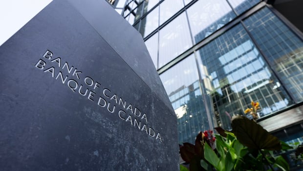 us.-trade-war-risks-canadian-progress-on-financial-stability,-says-bank-of-canada