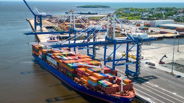 carney’s-top-priority-should-be-getting-economy-going,-nb.-analyst-says