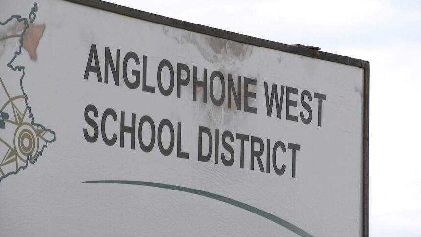 school-library-workers-being-eliminated-as-anglophone-west-tries-to-save-money