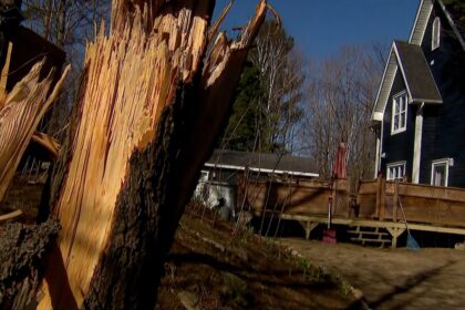 windstorm-blew-through-region-causing-damage,-power-outages