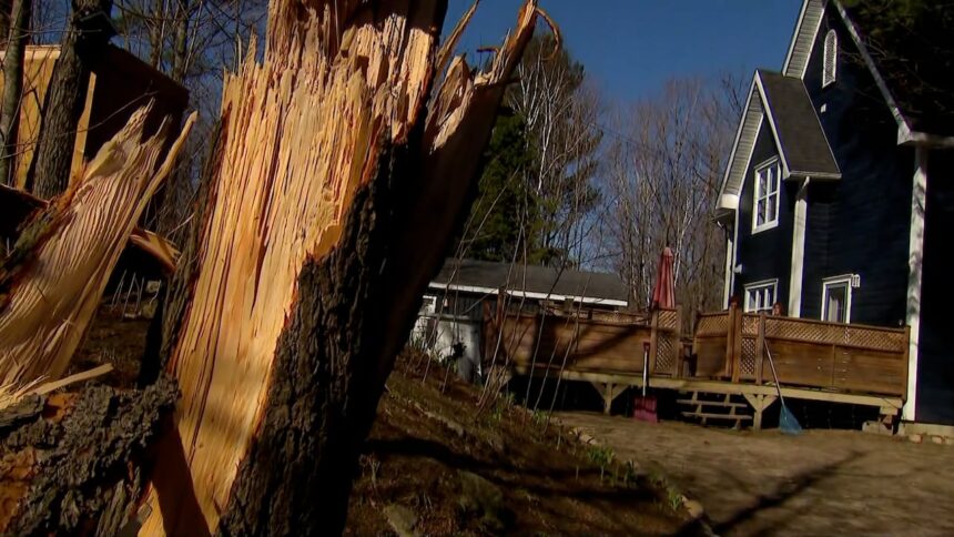 windstorm-blew-through-region-causing-damage,-power-outages