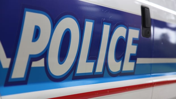 pedestrian-killed-in-collision-with-truck-on-smyth-road