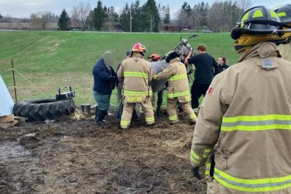 firefighters-rescue-horse-trapped-by-storm-toppled-shelter