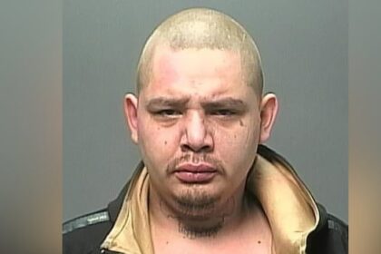 man-charged-in-3-winnipeg-killings-pleads-guilty-to-2nd-degree-murder