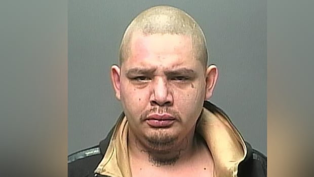 man-charged-in-3-winnipeg-killings-pleads-guilty-to-2nd-degree-murder