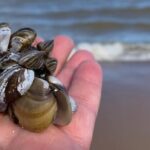 manitoba-pours-$540k-into-fight-against-aquatic-invasive-species