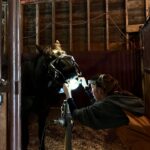 did-you-know-horses-need-dentists?-meet-an-equine-dentist-whose-work-is-a-mouthful
