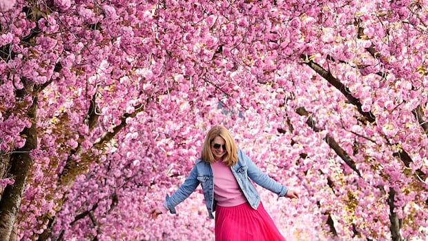 are-you-flourishing?-many-young-adults-aren’t,-new-study-suggests