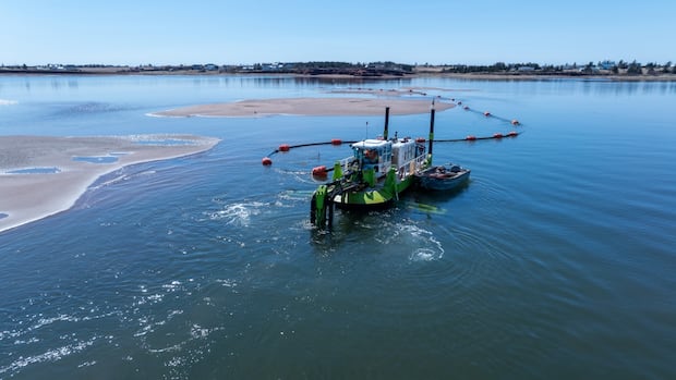 pei.-harbours-need-major-dredging,-not-‘putting-little-bandages-on-it,’-dfo-is-told