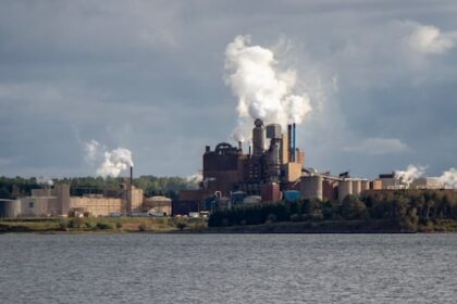 northern-pulp-seeks-more-time-to-determine-its-future-in-nova-scotia