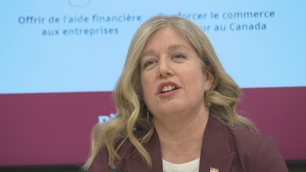 province-defends-school-funding-decisions,-unaware-of-library-worker-cuts