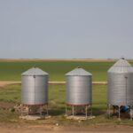 thousands-of-bushels-of-grain-stolen-from-bins-on-rural-sask.-property:-rcmp