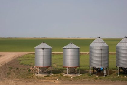 thousands-of-bushels-of-grain-stolen-from-bins-on-rural-sask.-property:-rcmp