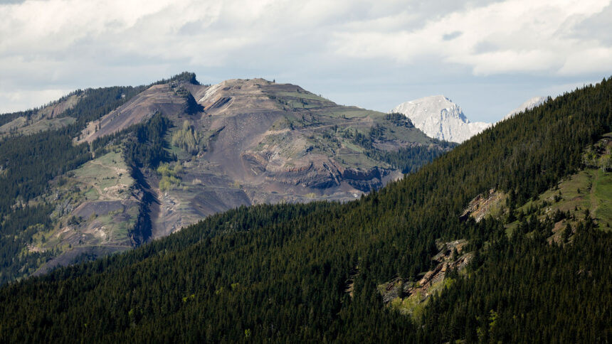 coal-mines-on-albertas-eastern-slopes-could-push-fishery-beyond-recovery:-study
