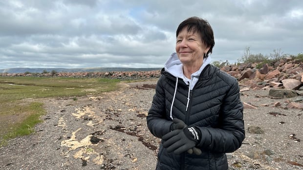 ‘long-overdue’-dikeland-upgrades-coming-to-rural-ns.-community