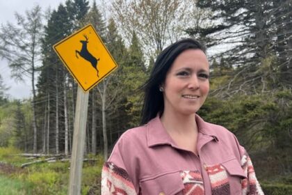 deer-collision-leads-to-insurance-nightmare-for-nb.-woman