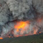 sask.-wildfires-have-already-burned-900k-hectares-of-forest-so-far-this-year:-spsa