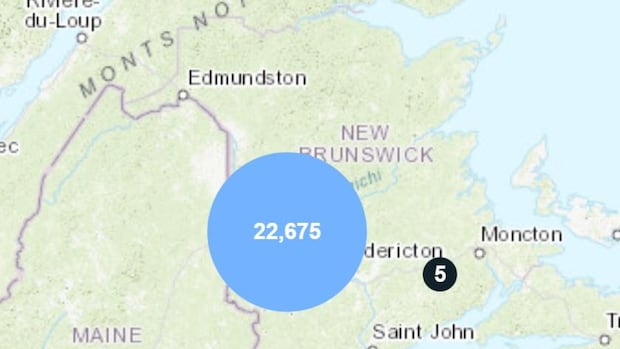 power-restored-after-major-outages-in-parts-of-new-brunswick