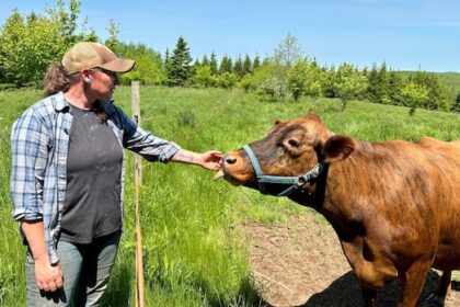 nova-scotia-farms-were-in-the-red-last-year-again