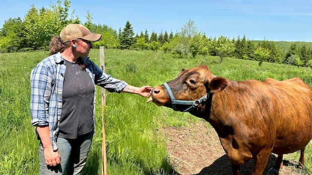 nova-scotia-farms-were-in-the-red-last-year-again
