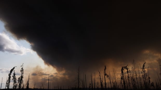 evacuation-orders-issued-in-bc.’s-peace-river-due-to-pocket-knife-creek-wildfire