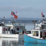 commercial-fishing-group-to-call-on-courts-to-define-moderate-livelihood