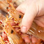china-tariffs-bite-into-bc.-spot-prawn-season,-but-foodies-queue-for-kiss-of-the-sea