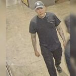man-knocked-out-in-random-beating-at-the-forks-market-in-winnipeg