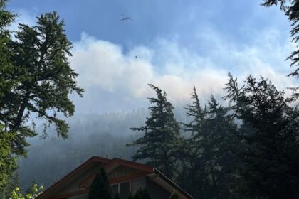 district-of-squamish-declares-state-of-local-emergency-due-to-wildfire