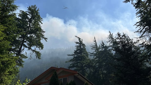 district-of-squamish-declares-state-of-local-emergency-due-to-wildfire
