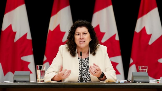 auditor-general-finds-long-delays-in-indian-status-application-process