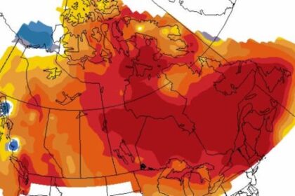 summer-weather-outlook-suggests-atlantic-canadians-will-be-looking-for-shade