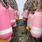 some-pei.-lobster-fishers-want-‘moderate-livelihood’-defined,-after-dfo-seizes-more-traps