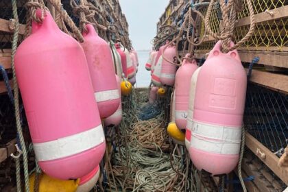 some-pei.-lobster-fishers-want-‘moderate-livelihood’-defined,-after-dfo-seizes-more-traps