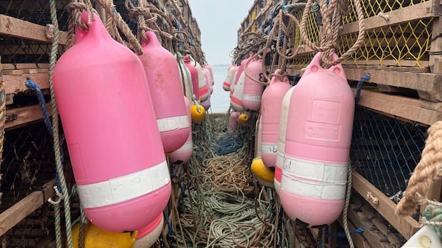 some-pei.-lobster-fishers-want-‘moderate-livelihood’-defined,-after-dfo-seizes-more-traps
