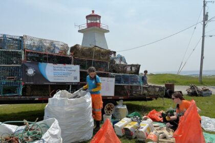 one-great-big-team-effort:-coastal-cleanup-at-baccaro-point-nets-400-lobster-traps