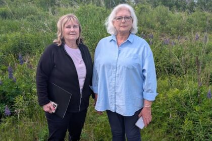 stratford-townhouse-proposal-would-be-destructive-to-wetland,-nearby-residents-warn