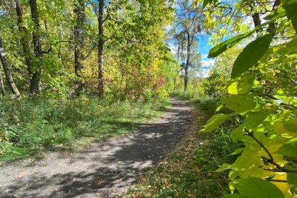 permits-allowing-guns,-atvs-in-backcountry-are-unfair-as-the-public-stays-barred:-whiteshell-cottager