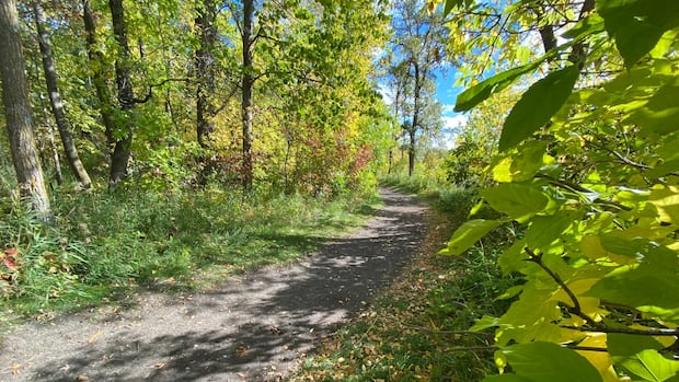 permits-allowing-guns,-atvs-in-backcountry-are-unfair-as-the-public-stays-barred:-whiteshell-cottager