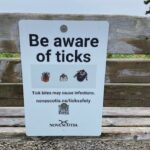 how-close-are-we-to-getting-a-vaccine-for-lyme-disease?