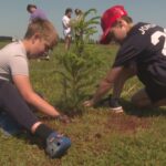 summerside-students-learn-about-climate-action-by-planting-trees-on-their-school-grounds