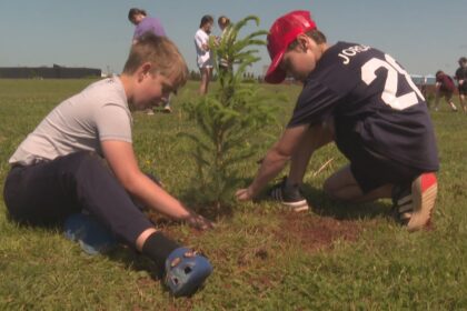 summerside-students-learn-about-climate-action-by-planting-trees-on-their-school-grounds
