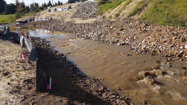 city-of-dawson-creek-warns-residents-to-prepare-for-floods-even-as-wildfires-loom