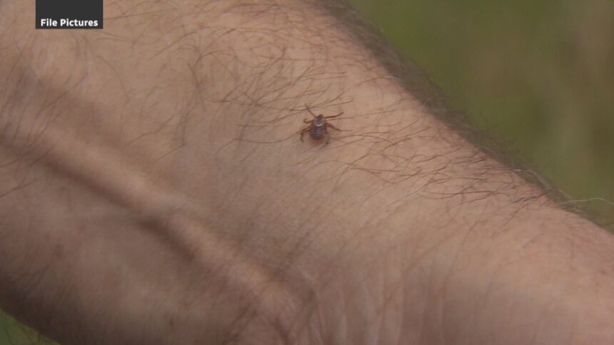take-tick-precautions,-but-lyme-disease-rates-remain-quite-low-on-prince-edward-island
