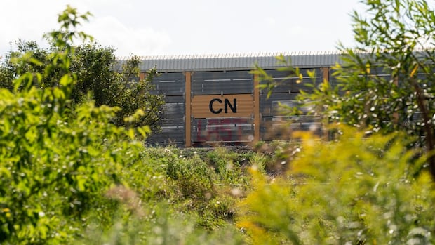 cn-rail-warns-of-‘catastrophic-impacts’-as-it-seeks-anti-flood-barrier-in-jasper-park