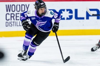 pwhl-free-agency-preview:-what-each-team-needs-this-off-season