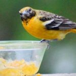 stopping-in-for-a-snack:-enjoy-these-photos-from-around-new-brunswick